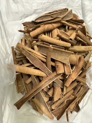 Broken Cassia