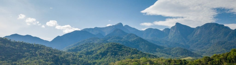 Ultimate Broken Cassia: Unmatched Quality & Tradition from Vietnam Broken Cassia