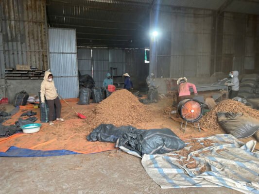 Vietnamese Agricultural Products: Quality from Yen Bai High-Standard Production Process for Vietnamese Agricultural Products