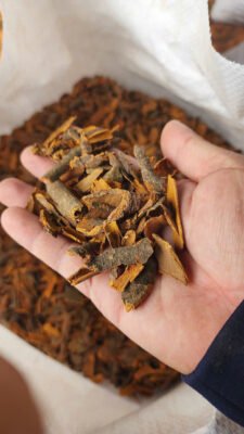 Innovative Premium Organic Vietnamese Cinnamon Powder: From Farm to Future Premium Organic Vietnamese Cinnamon Powder