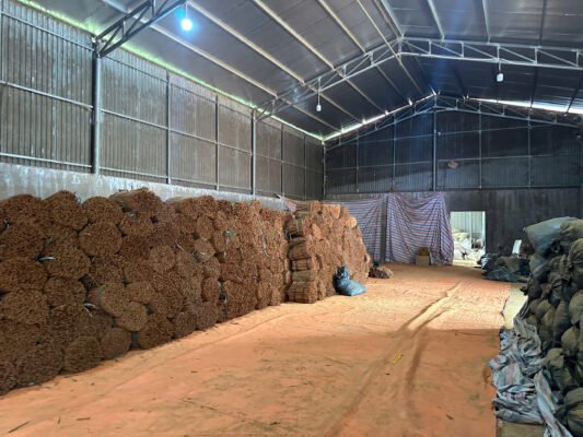 Visionary Authentic Vietnamese Cigarette Cassia Wholesale: Bulk Spice, Refined Authentic Vietnamese Cigarette Cassia Wholesale