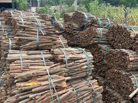 Bulk Ceylon Cinnamon Quills Wholesale Supplier