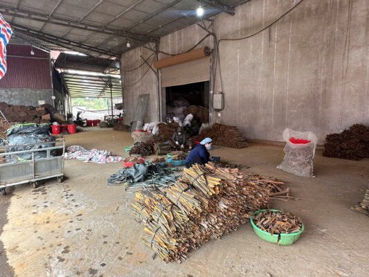 Visionary Wholesale Vietnamese Cinnamon Stick Supplier: Scale Your Sourcing Wholesale Vietnamese Cinnamon Stick Supplier