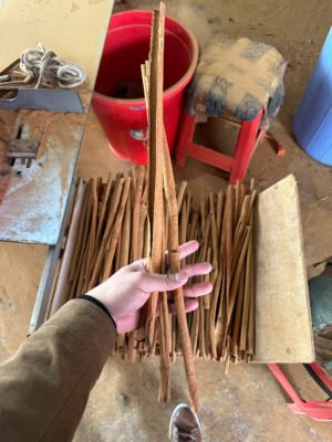 Bulk Ceylon cinnamon sticks supplier