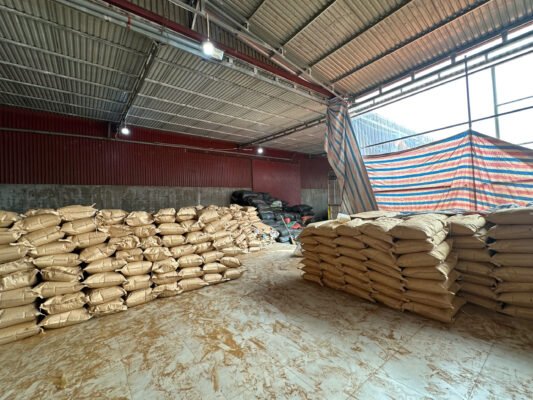 organic cassia cinnamon split wholesale supplier